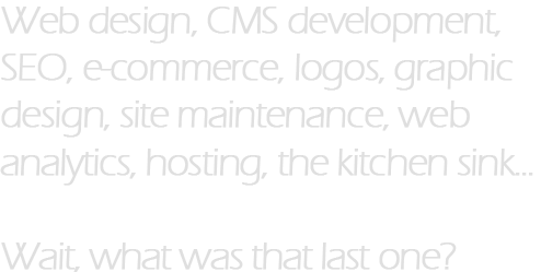 Web design, CMS development, SEO, e-commerce, logos, graphic design, RSS, database development, site maintenance, web analytics, hosting, the kitchen sink... Wait, what was that last one?